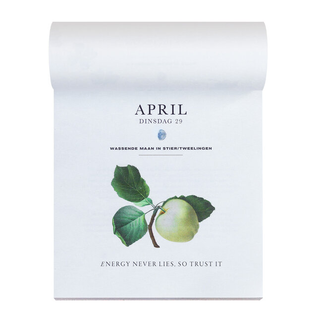 Moonsisters Moon Calendar