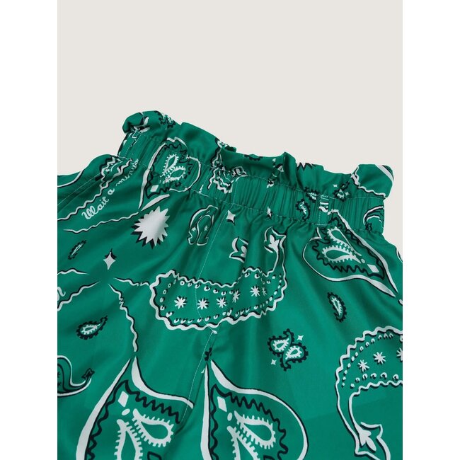 Call It By Your Name Pantalon Western in green