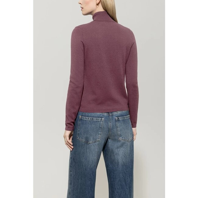 Luisa Cerano Turtleneck sweater in wool blend heather