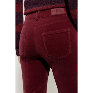 Luisa Cerano Luisa Cerano Bootcut velvet pants