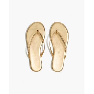 TKEES TKEES Lily Metallics Blink