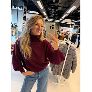 COLORUSH COLORUSH Sundance roll neck burgundy