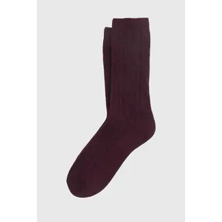 ANT45 Atlas short bordeaux