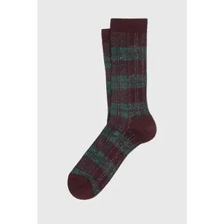ANT45 Bitweed short bordeaux