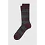 Bitweed short bordeaux