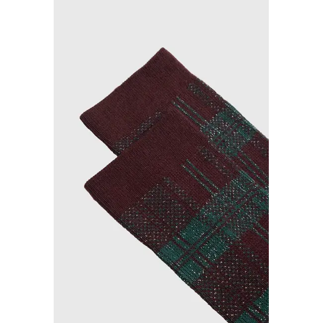 Bitweed short bordeaux