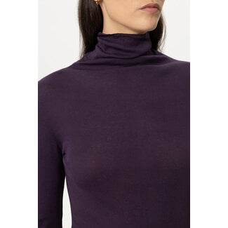 Luisa Cerano Coltruitje plum