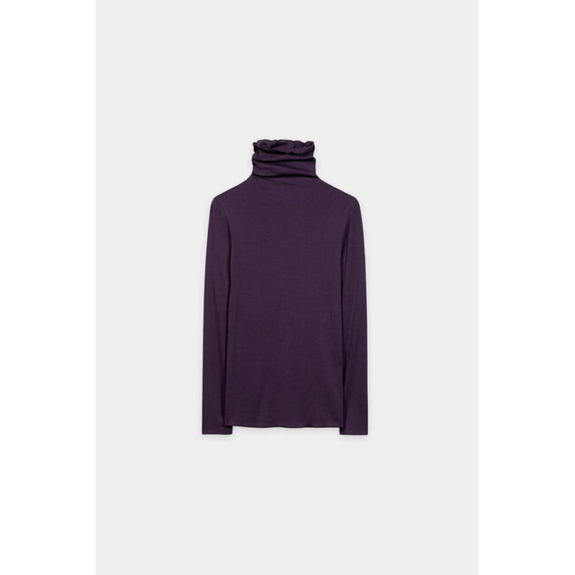 Luisa Cerano Coltruitje plum