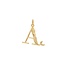 Anna+Nina Anna+Nina Initial Muse Necklace Charm Gold Plated