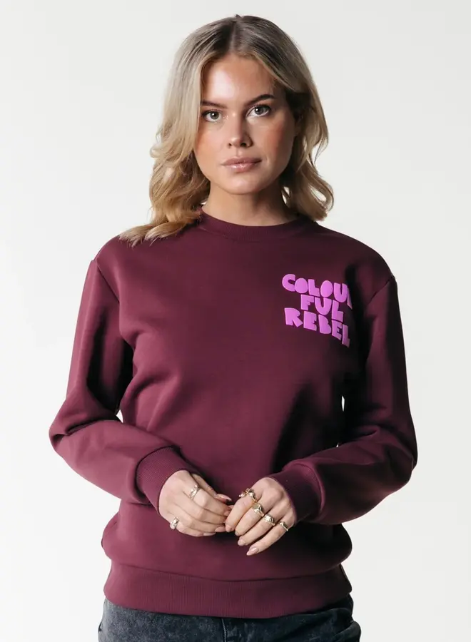 Logo Wave Puff Relaxed Sweat - Port Red