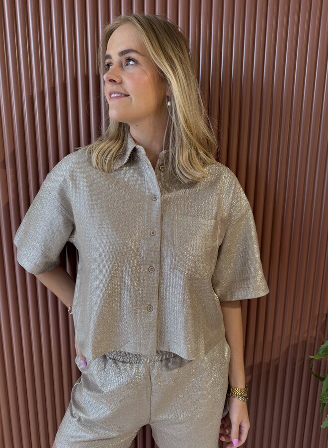 Foil Cropped Blouse | Silver