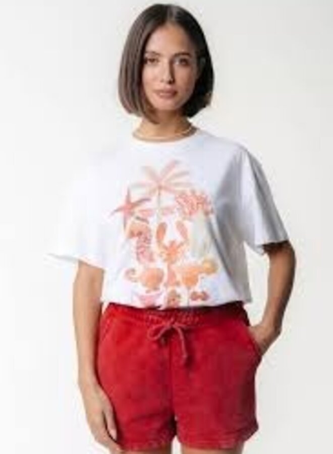 Uni Logo Acid Wash Sweat Short | Racing Red
