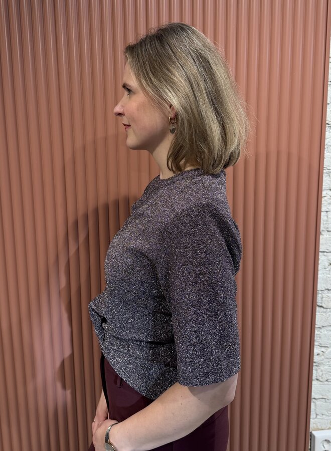 Fantina lurex top | Amethyst