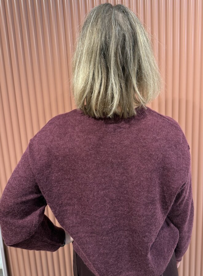 Ariama crewneck sweater | Mulberry Red