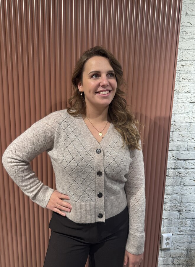 Aida Alpaca V-Neck Cardigan | Atmosphere