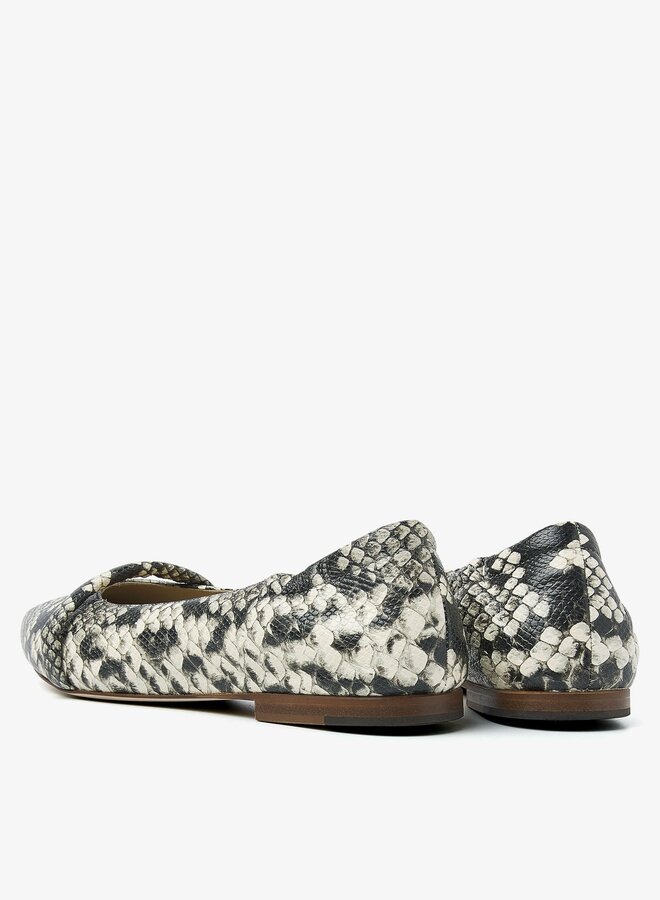 Lola Rose | Cobra Roccia