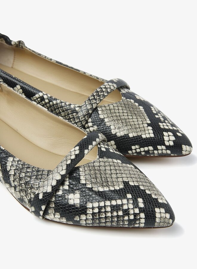 Lola Rose | Cobra Roccia