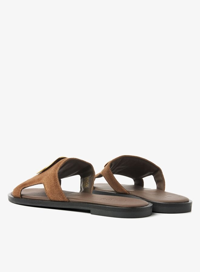 Vita Avi | Sierra Nocciola