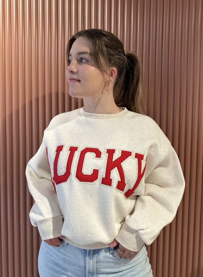 Bibi lucky patchwork sweater | Oyster melee