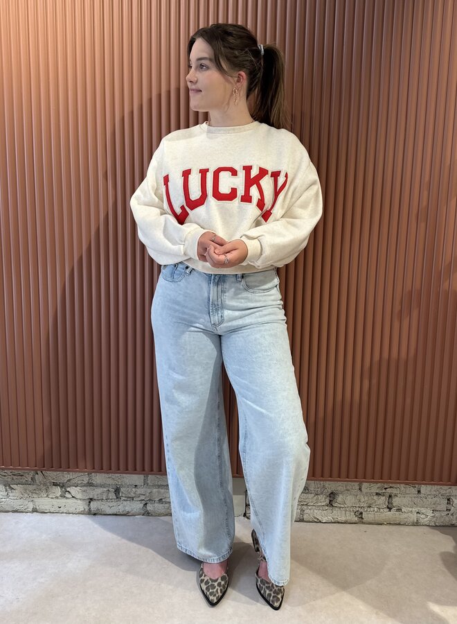 Bibi lucky patchwork sweater | Oyster melee