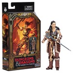 Hasbro Hasbro Dungeons & Dragons Honor Among Thieves Golden Archive Action Figure Holga 15 cm