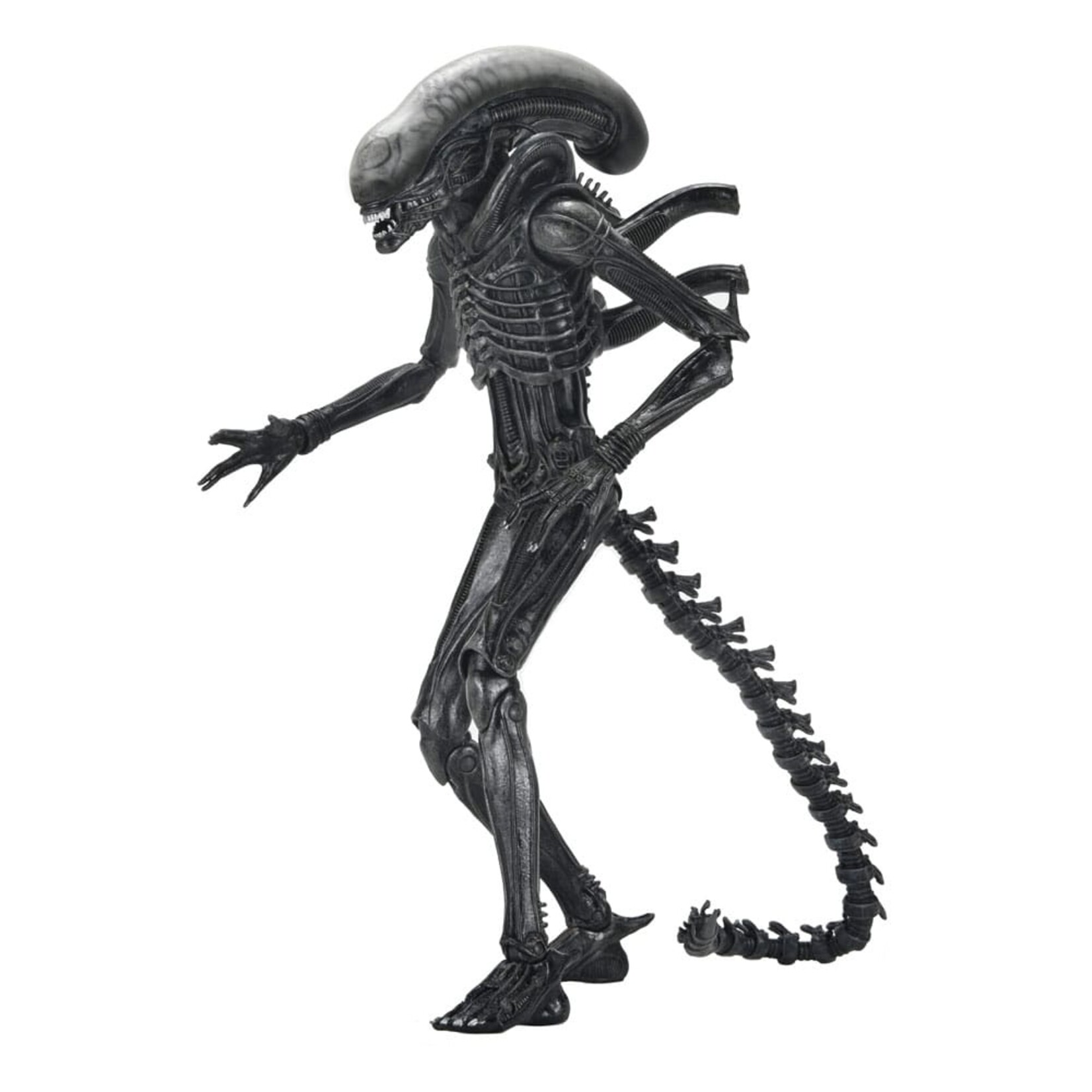 NECA NECA Alien Romulus Ultimate Action Figure Xenomorph XX121 18 cm