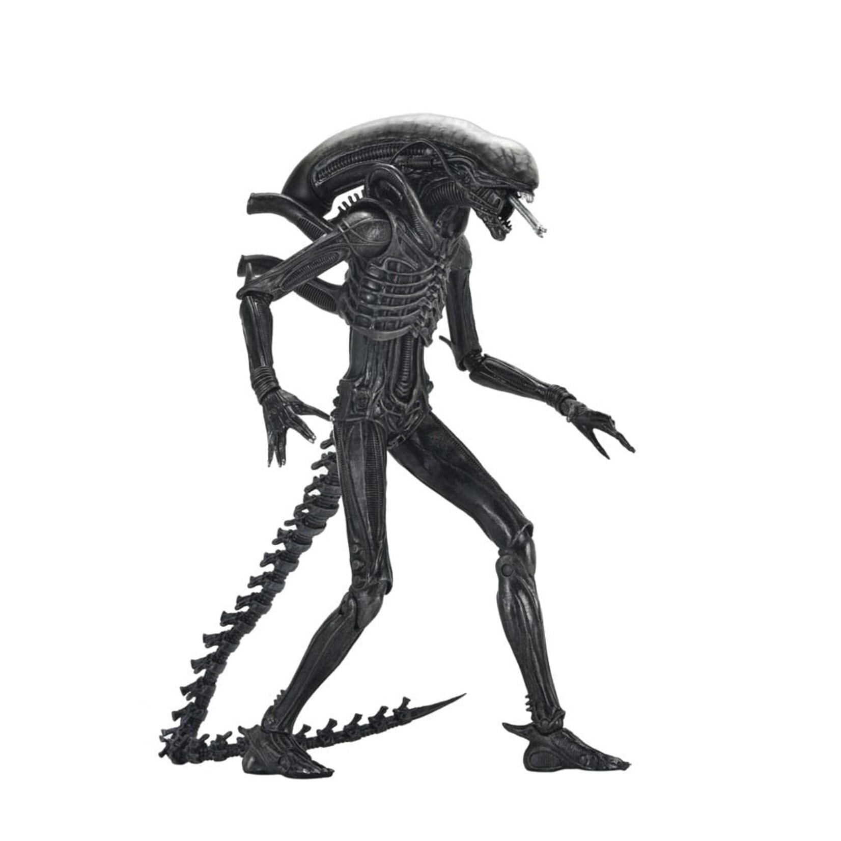 NECA NECA Alien Romulus Ultimate Action Figure Xenomorph XX121 18 cm