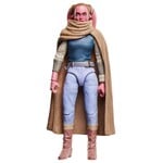 Hasbro Hasbro Star Wars Maul Black Series Action Figure Devon Izara 15 cm