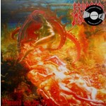 MORBID ANGEL - blessed are the sick LP