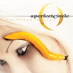 A PERFECT CIRCLE - thirteenth step. LP