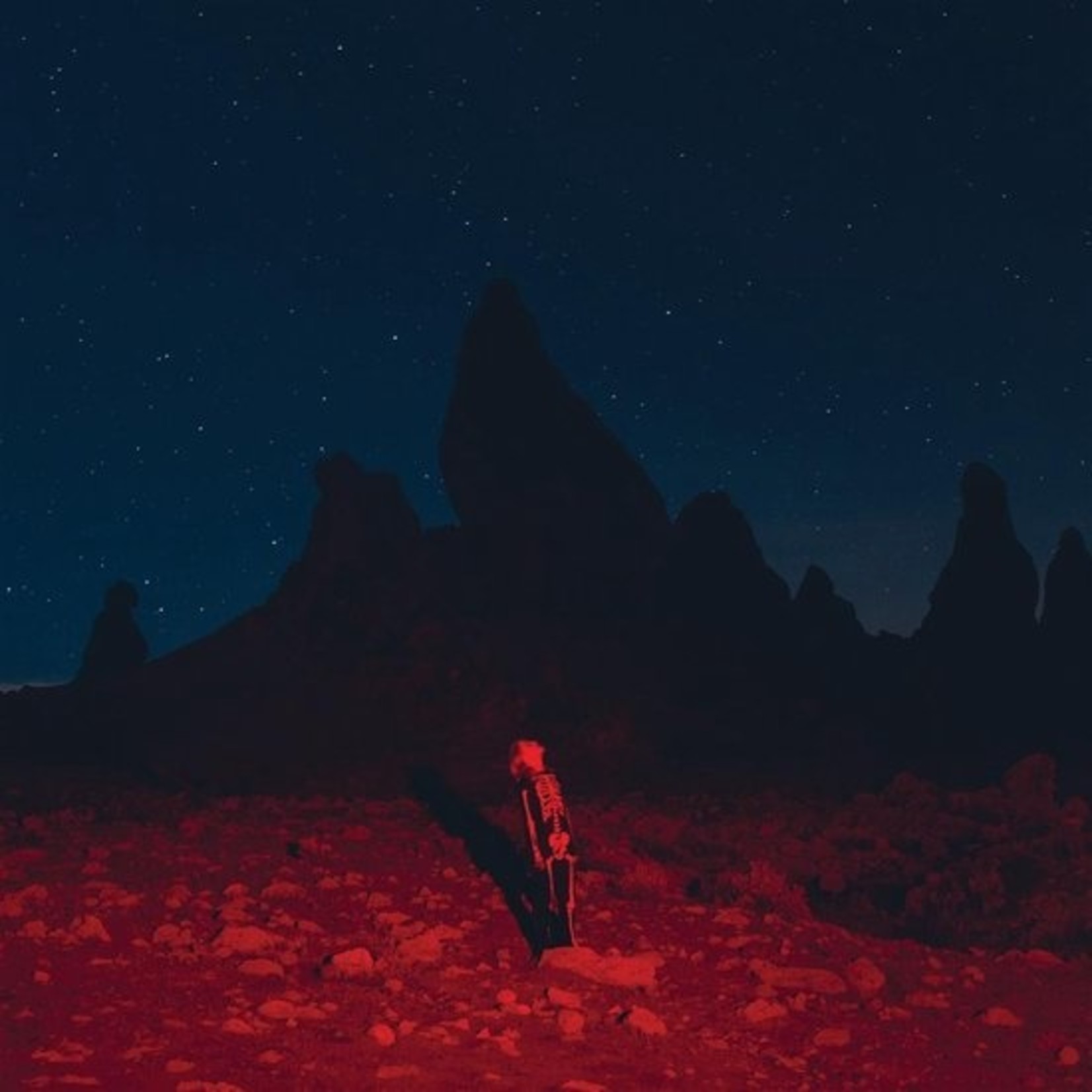 PHOEBE BRIDGERS - punisher LP