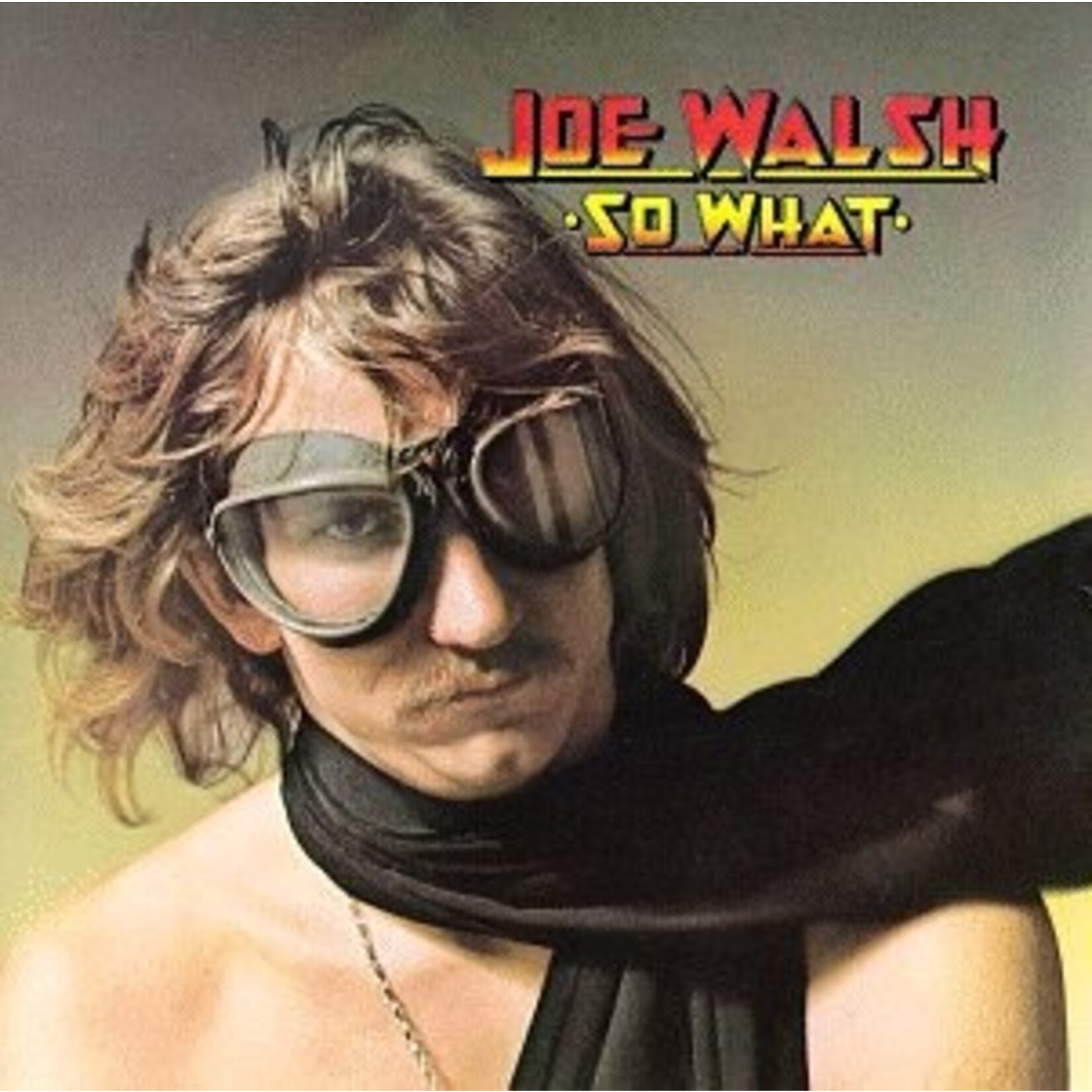 Joe Walsh ‎– So What