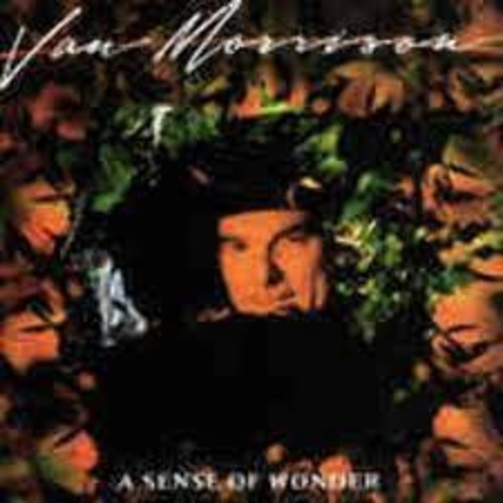 Van Morrison – A Sense Of Wonder