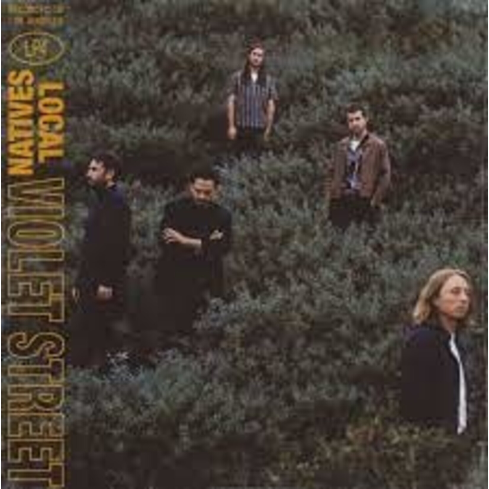 LOCAL NATIVES - violet street LP