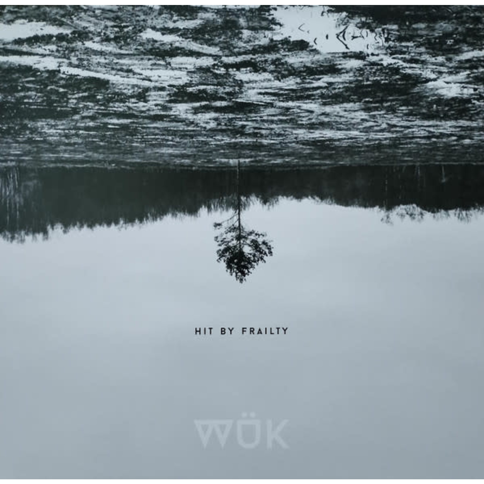 WÜK - HIT BY FRAILTY - LP