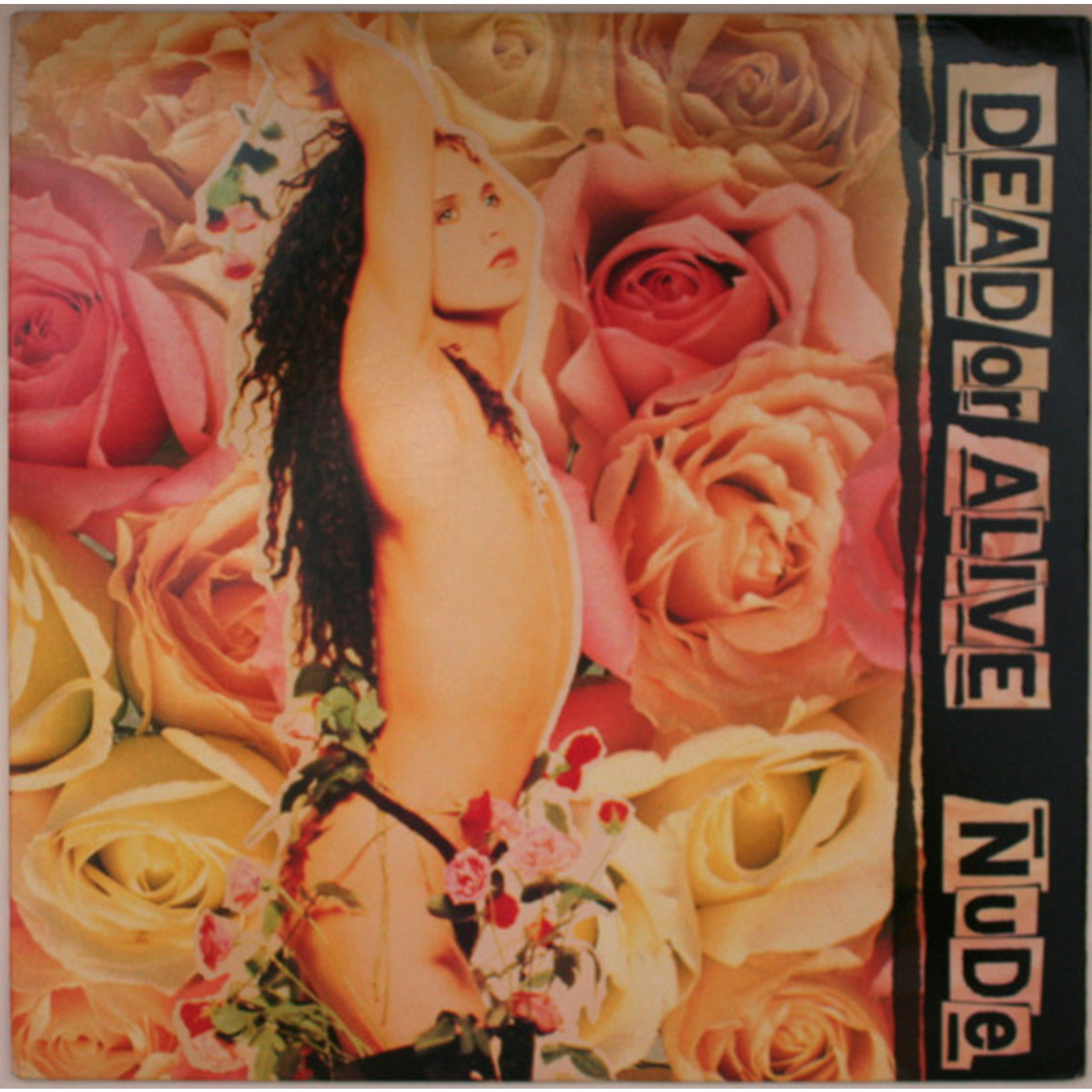 DEAD OR ALIVE – NUDE - LP