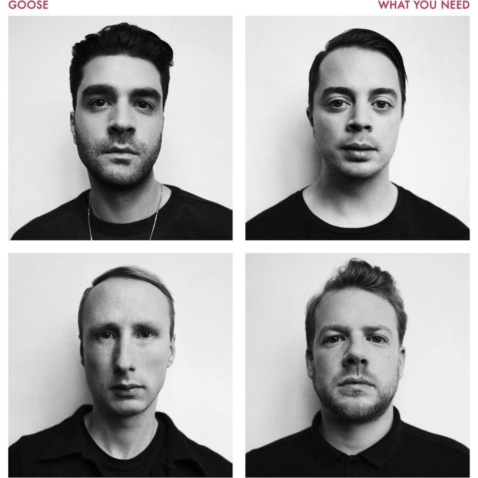 GOOSE  - WHAT YOU NEED - LP