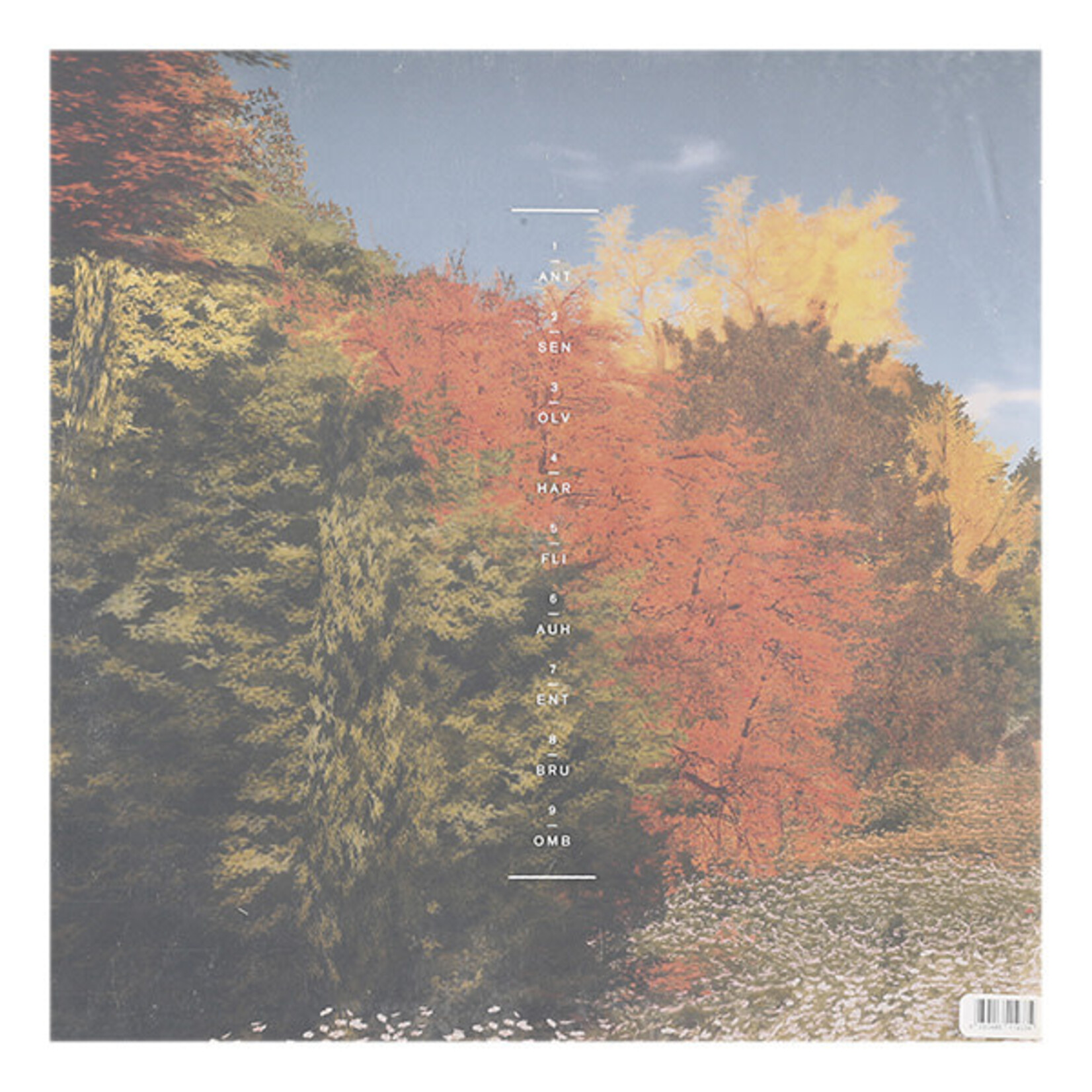 KOHLSTEDT, MARTIN - TAG - LP