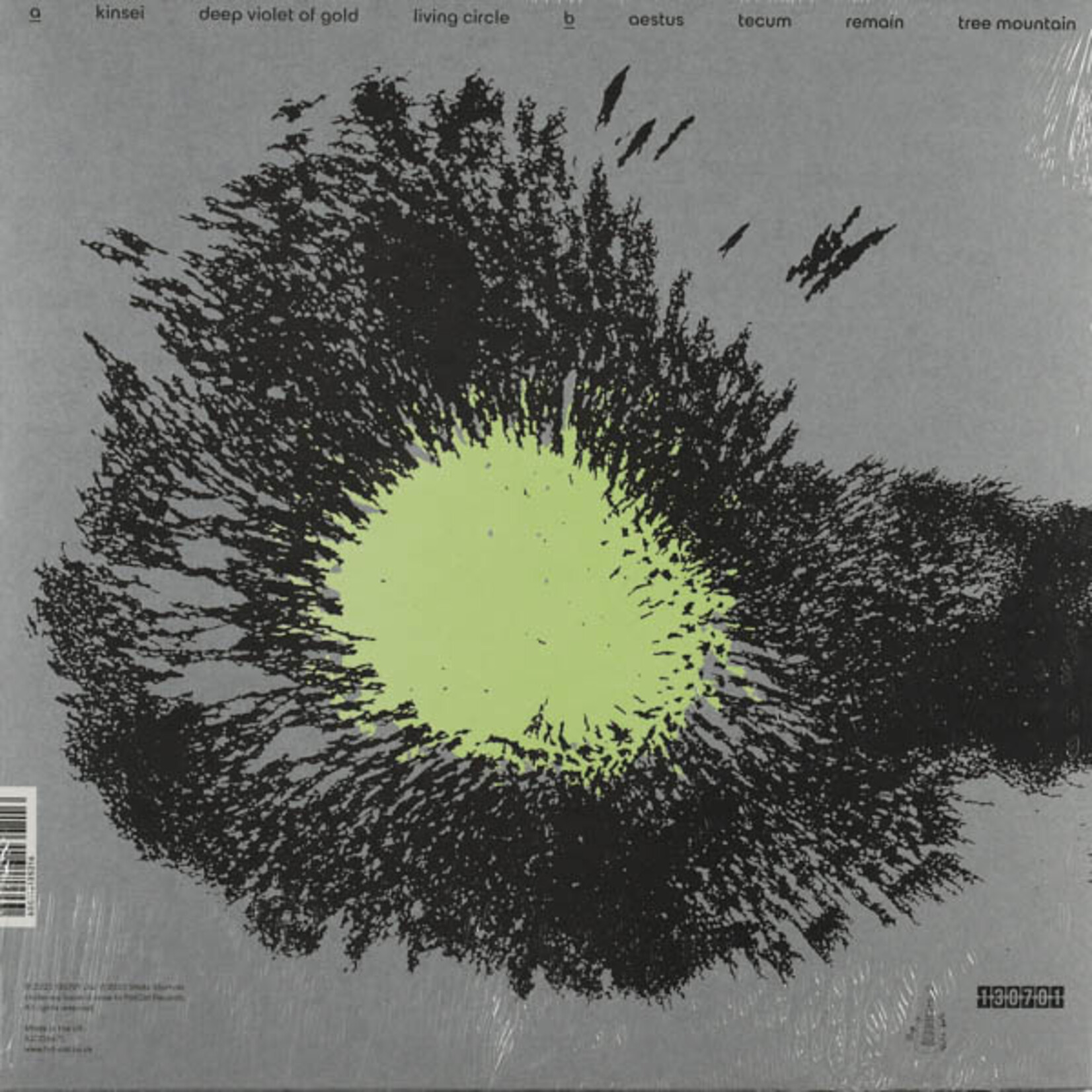 SHAHABI, SHIDA - LIVING CIRCLE - LP