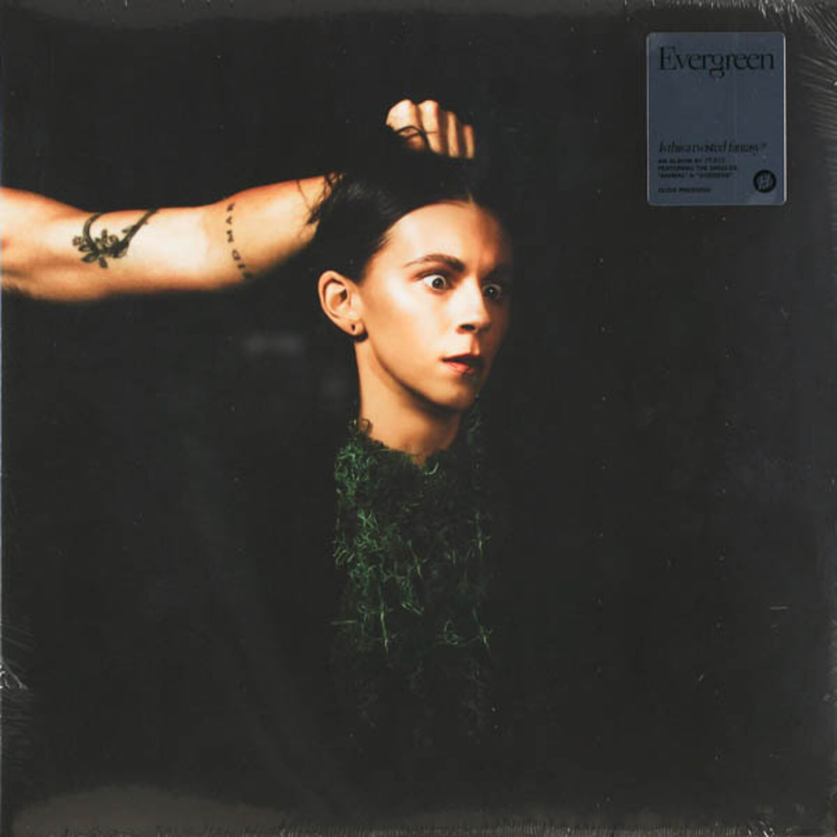 PVRIS - EVERGREEN - LP