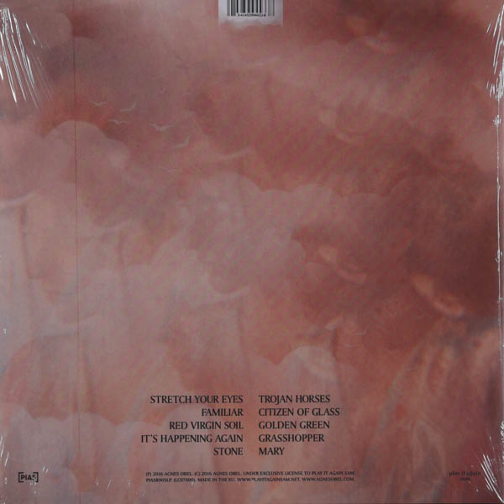OBEL, AGNES - CITIZEN OF GLASS - LP