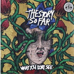 STORY SO FAR, THE - WHAT YOU DON'T SEE - COLOURED LP + DOWNLOAD CODE