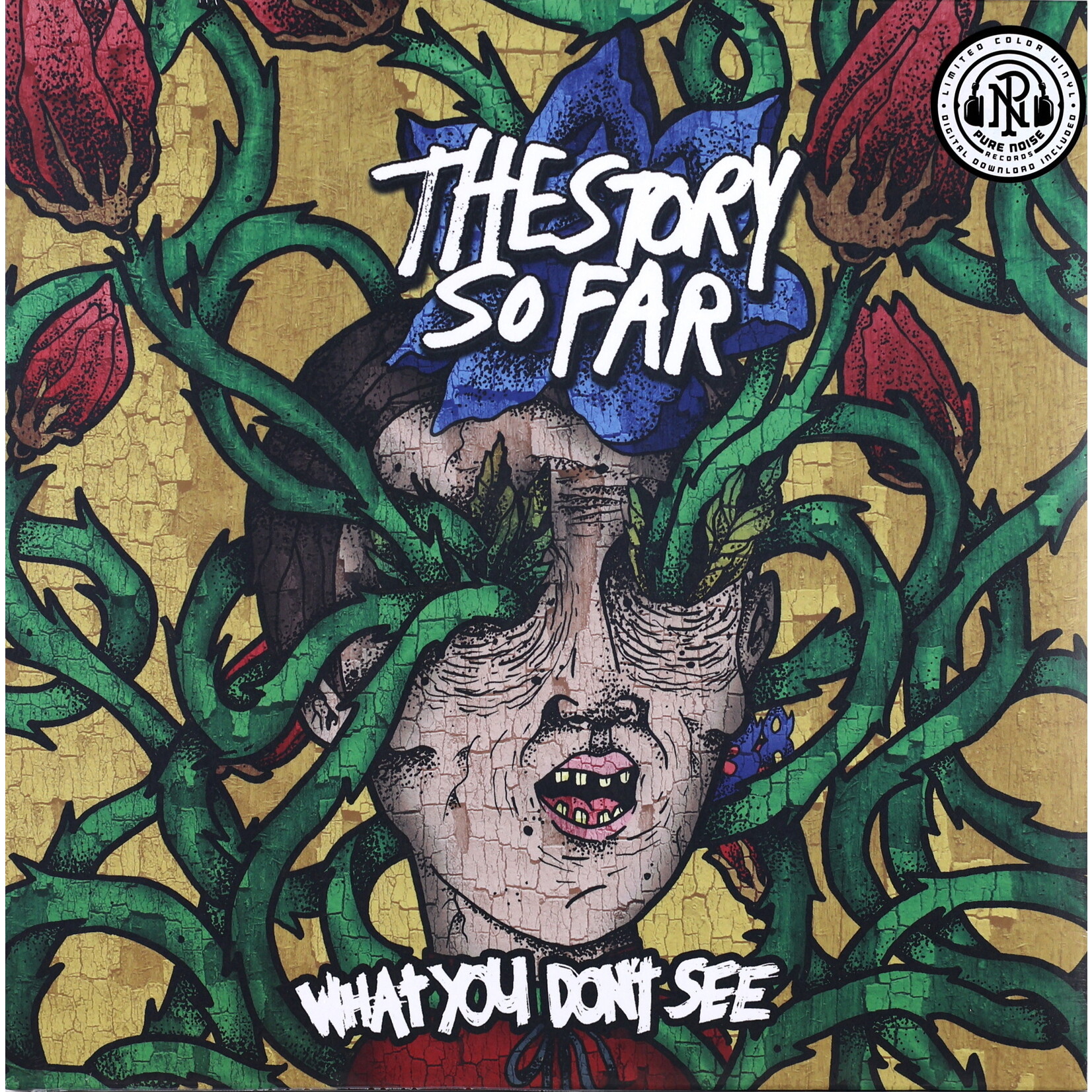 STORY SO FAR, THE - WHAT YOU DON'T SEE - COLOURED LP + DOWNLOAD CODE