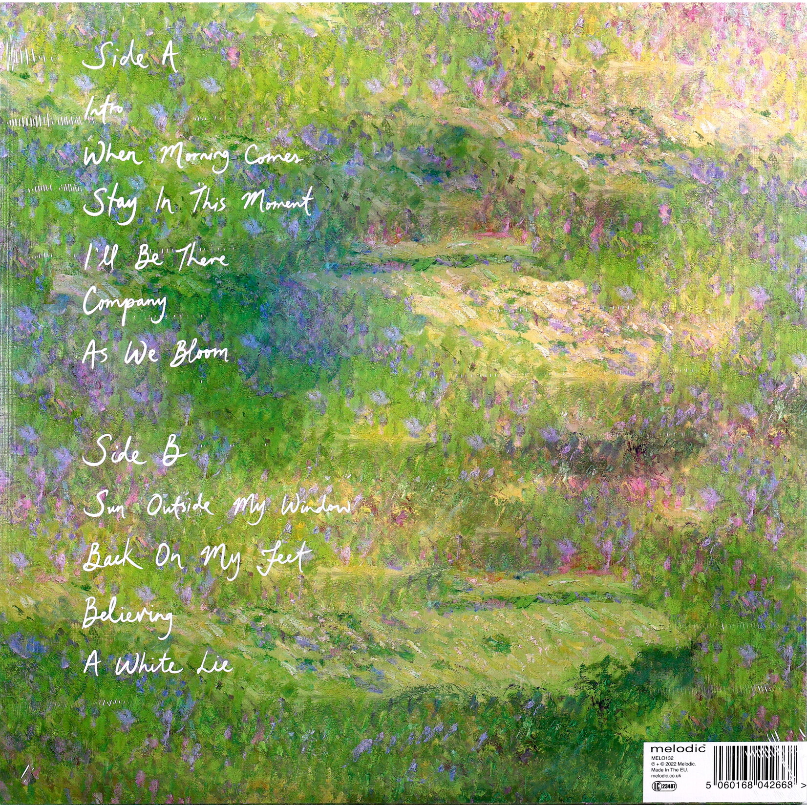 STRAWBERRY GUY - SUN OUTSIDE MY WINDOW - LP