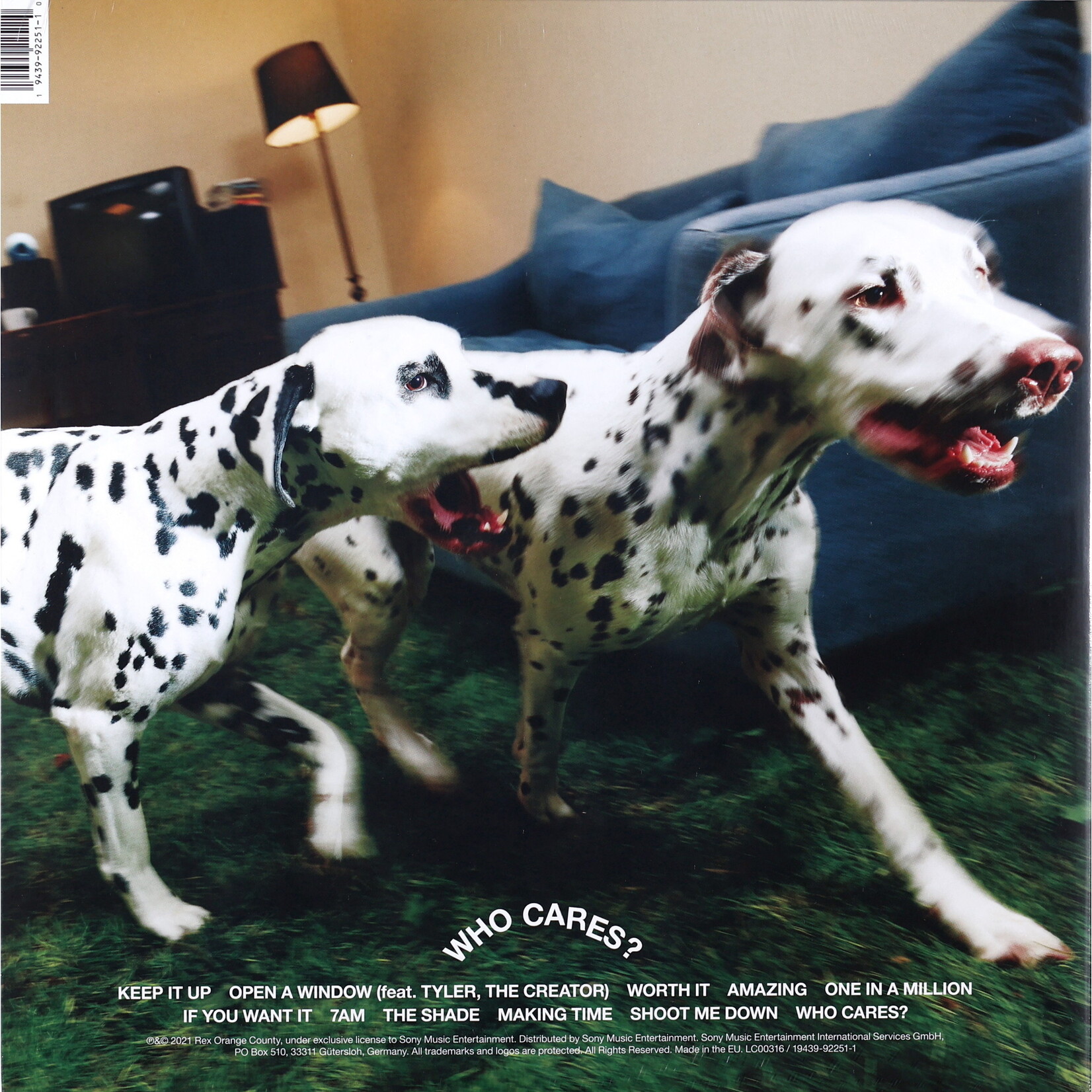 REX ORANGE - COUNTY WHO CARES? - GATEFOLD LP