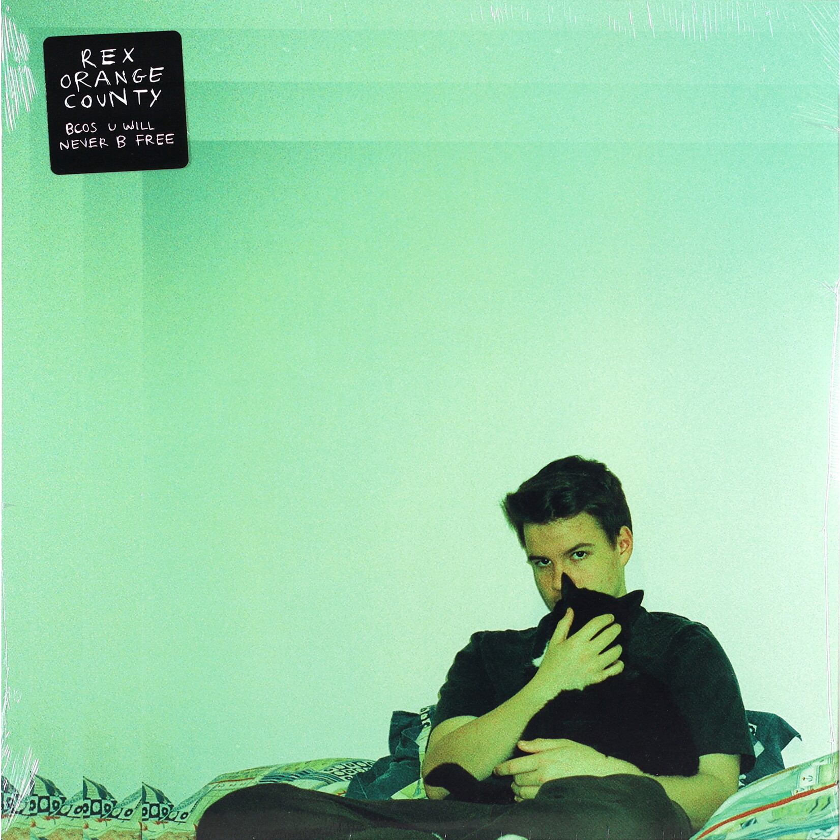 REX ORANGE COUNTY - BCOS U WILL NEVER B FREE - LP