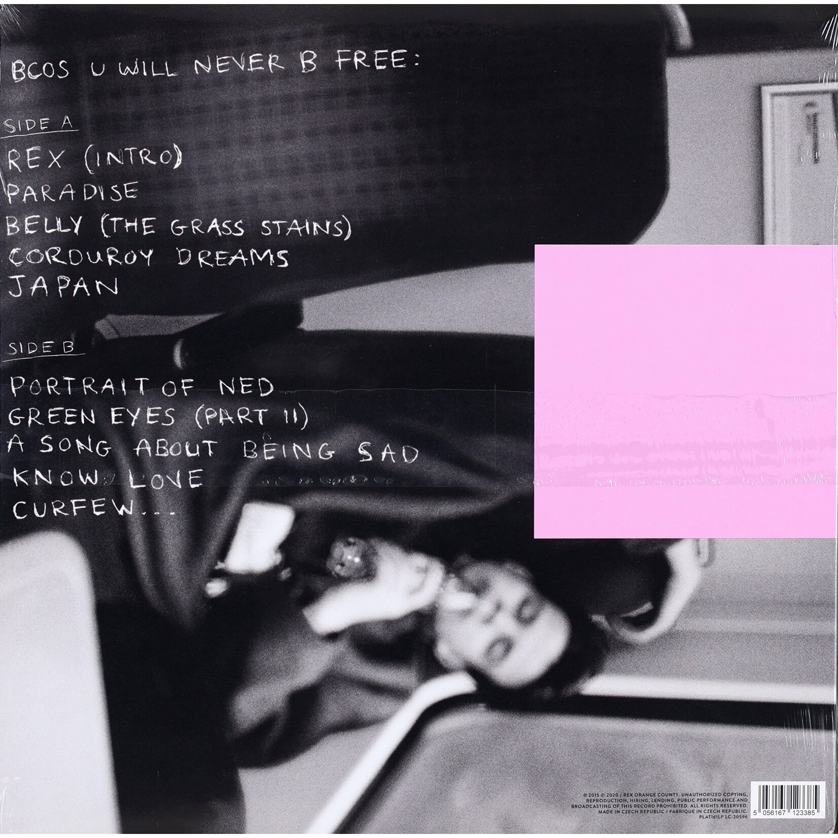 REX ORANGE COUNTY - BCOS U WILL NEVER B FREE - LP