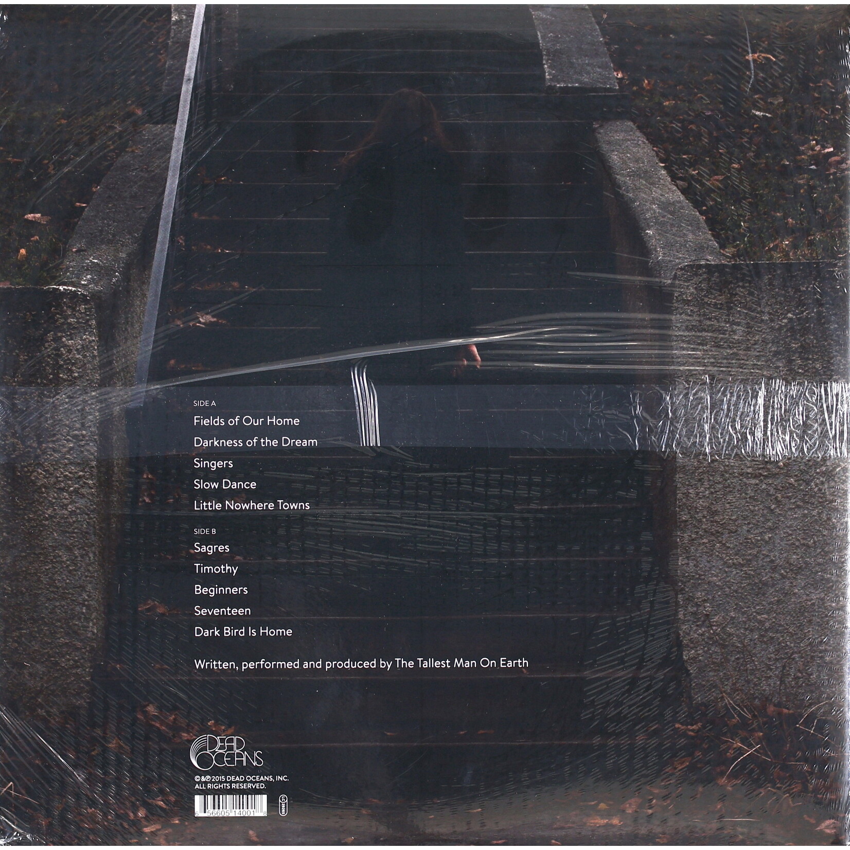 TALLEST MAN ON EARTH - DARK BIRD IS HOME - GATEFOLD LP