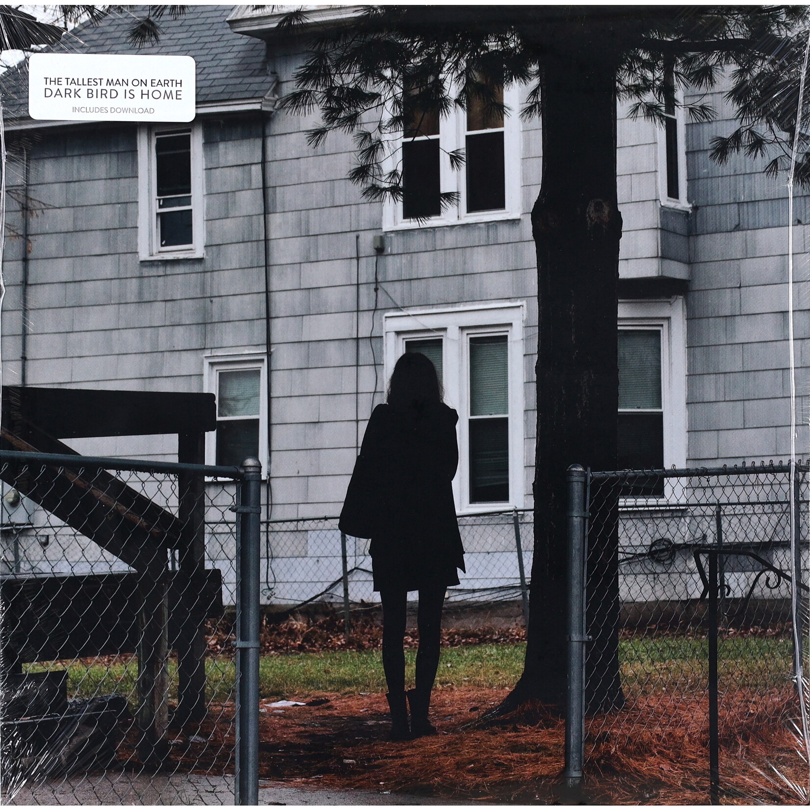 TALLEST MAN ON EARTH - DARK BIRD IS HOME - GATEFOLD LP