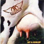 AEROSMITH - GET A GRIP - REISSUE 2LP
